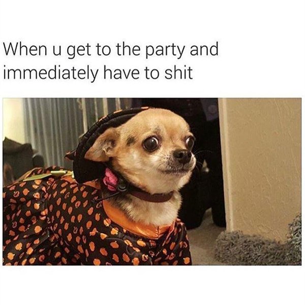 Random Funny Memes (27 pics)