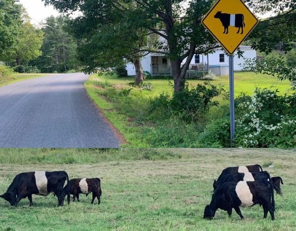 Pictures For A Good Mood (19 pics) Pictures For A Good Mood (19 pics)
