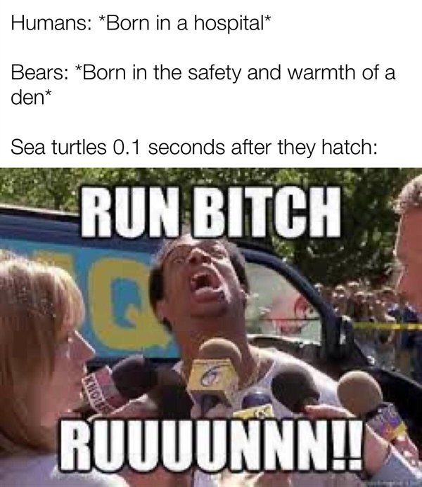 Hilarious Memes (24 pics)