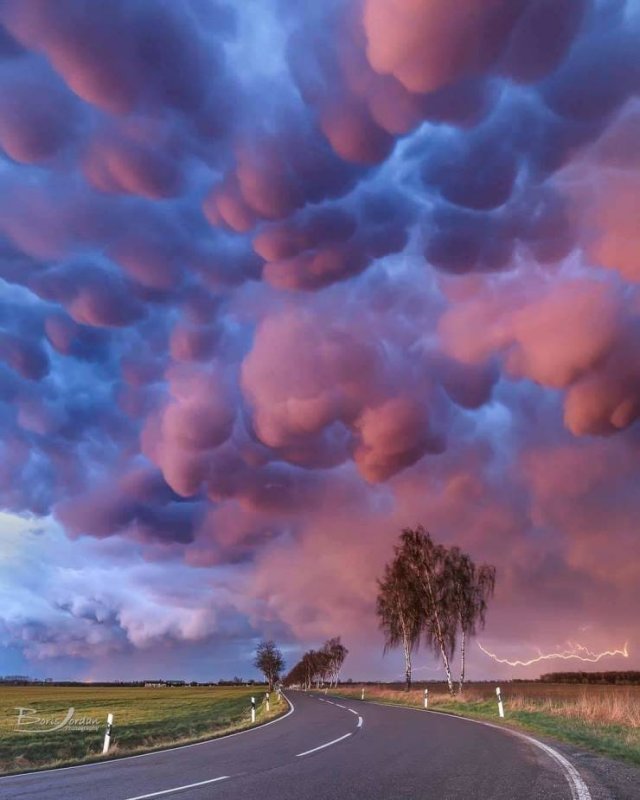 Amazing Pictures (50 pics)