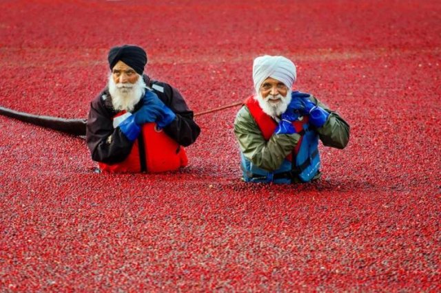 Amazing Pictures (50 pics)