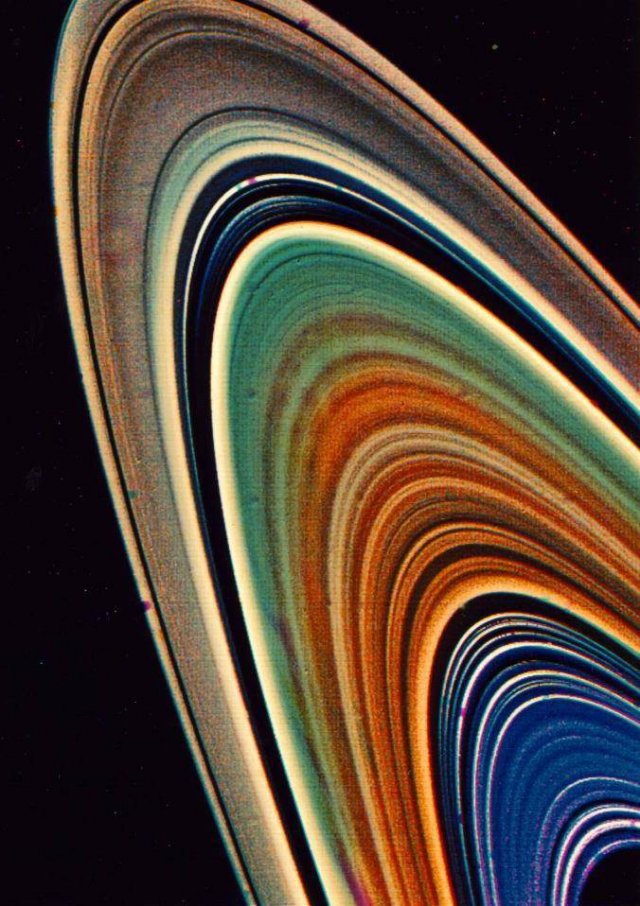 Amazing Pictures (50 pics)