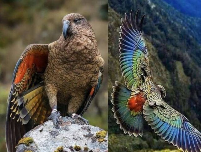 Amazing Pictures (50 pics)