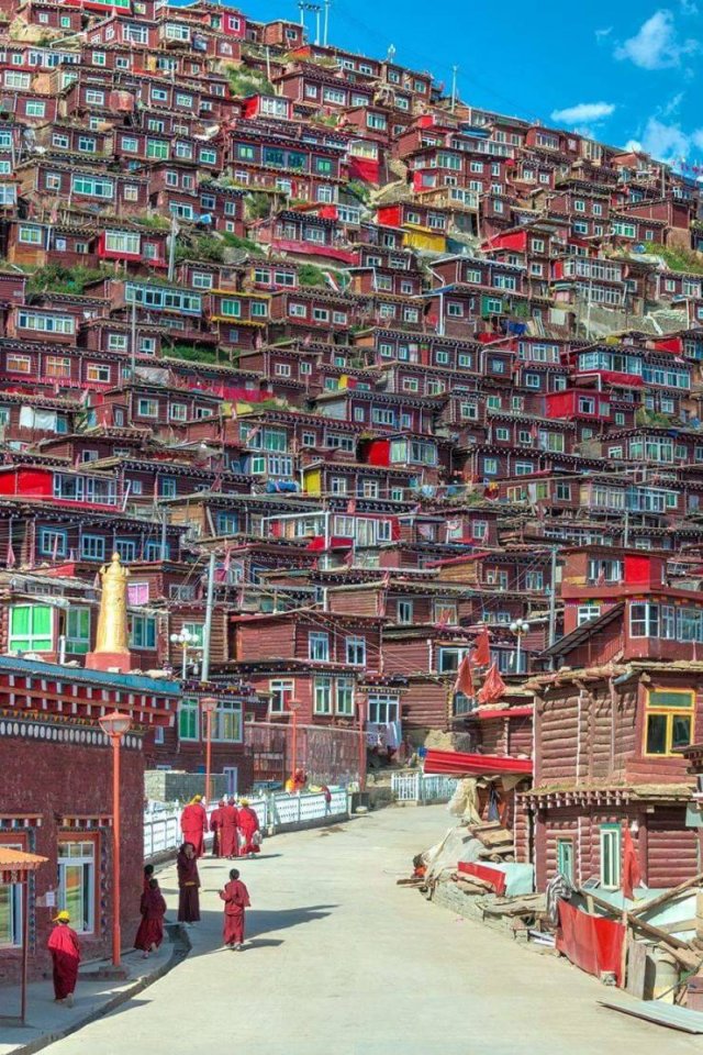 Amazing Pictures (50 pics)