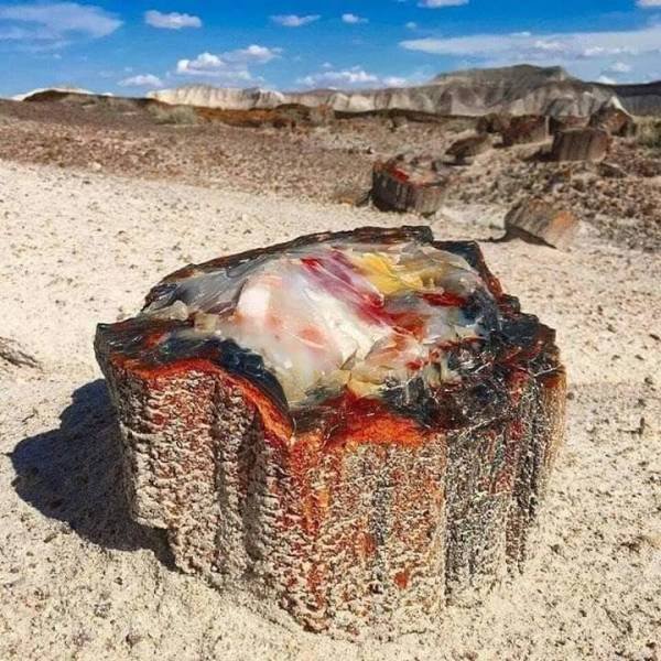 Amazing Pictures (50 pics)