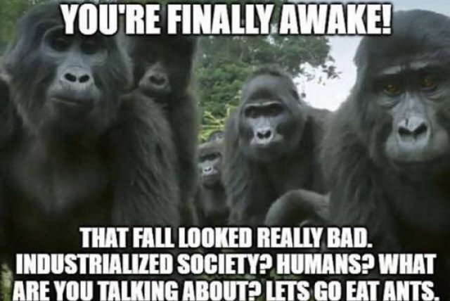 Acid Picdump. Part 2 (96 pics)