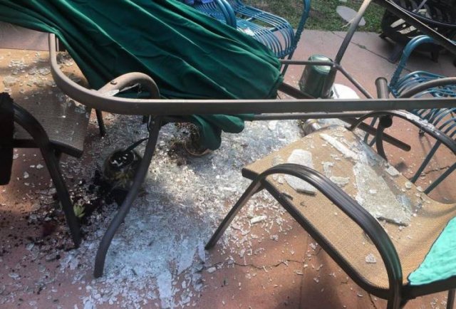 Bad Days Happen (49 pics)