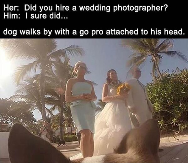 Random Funny Memes (25 pics)