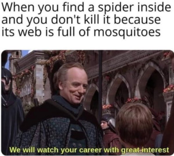 Random Funny Memes (25 pics)