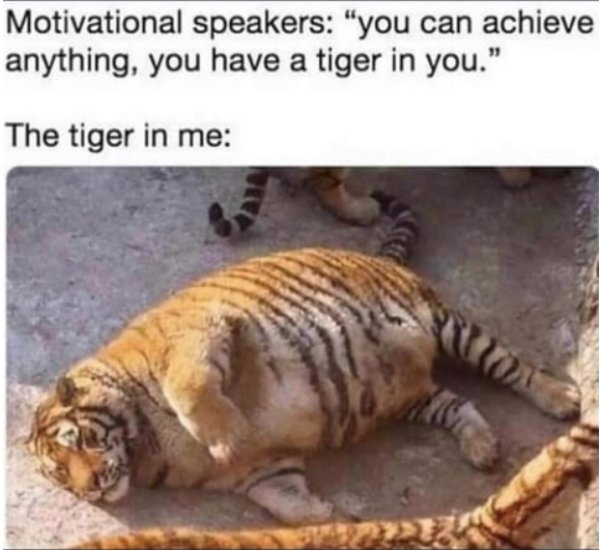 Random Funny Memes (25 pics)