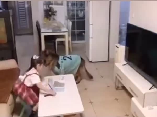 Daddy Home