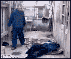 Fails (16 gifs)