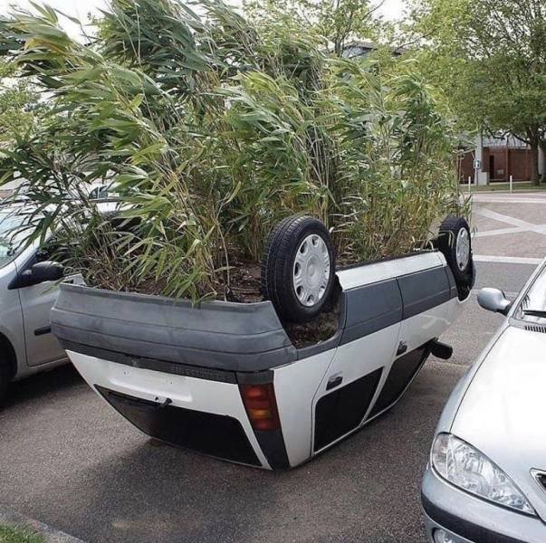 Almost Nailed It (49 pics)