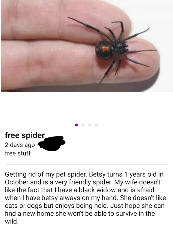 These People Know How To Sell (34 pics)