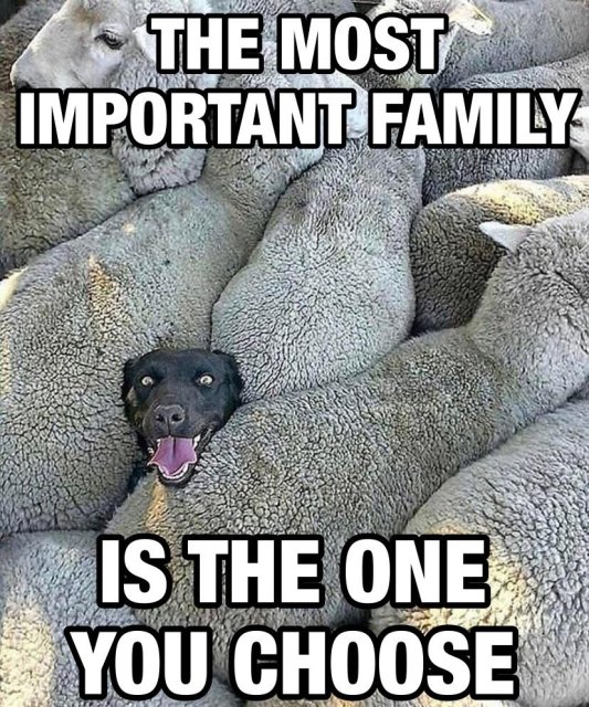 Pictures For Your Motivation (24 pics)