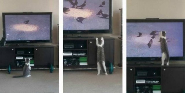 Acid Picdump. Part 2 (95 pics)