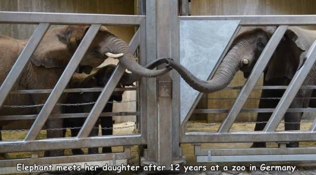 Acid Picdump. Part 2 (95 pics)