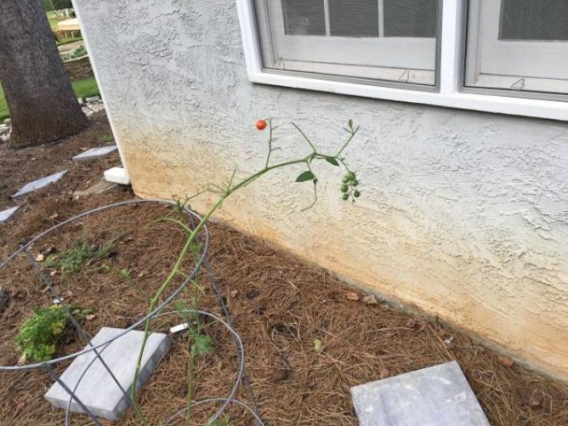 These People Did Their Best In Gardening (30 pics)