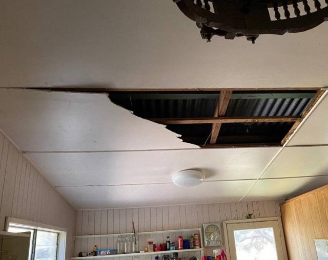 This Could Happen Only In Australia (6 pics)