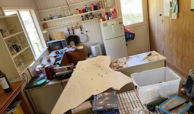 This Could Happen Only In Australia (6 pics)