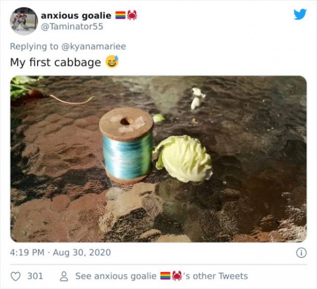 These People Did Their Best In Gardening (30 pics)