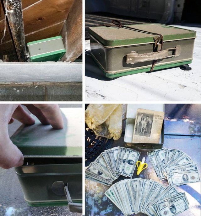 Interesting Findings (14 pics)