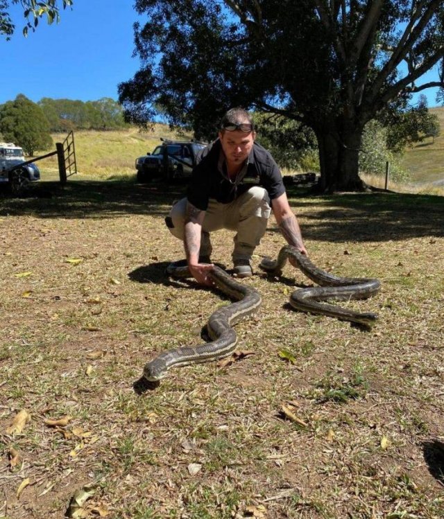 This Could Happen Only In Australia (6 pics)