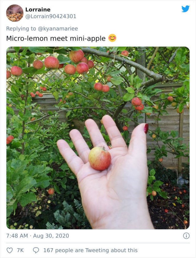 These People Did Their Best In Gardening (30 pics)