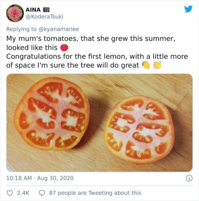 These People Did Their Best In Gardening (30 pics)