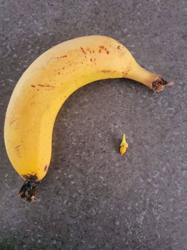 These People Did Their Best In Gardening (30 pics)