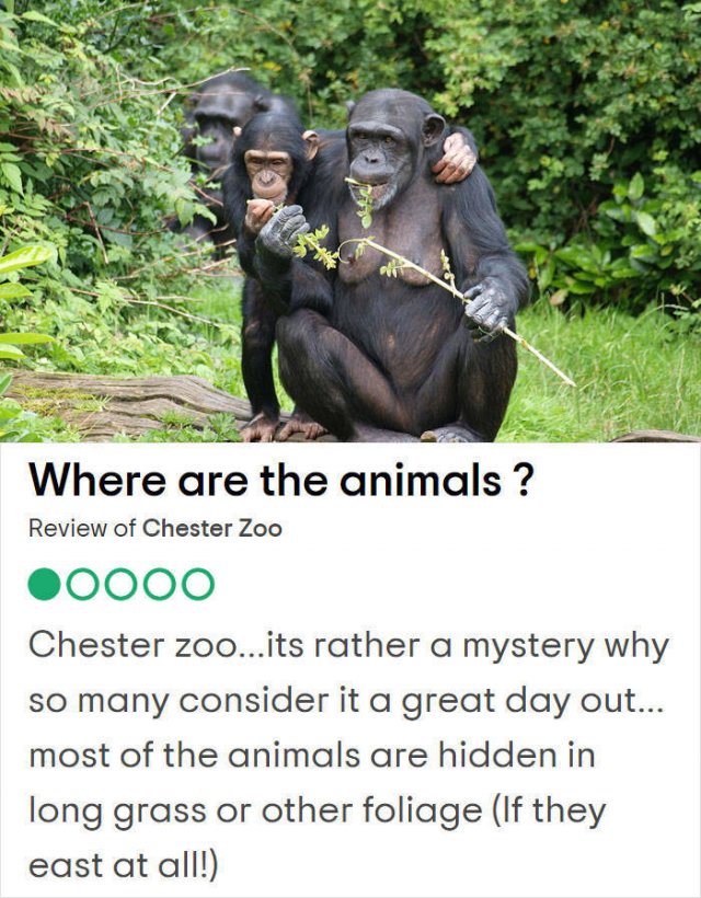 Bad Reviews Of UK Tourist Attractions (25 pics)