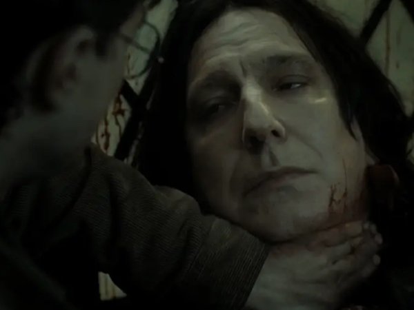 Interesting Facts About Severus Snape (12 pics)