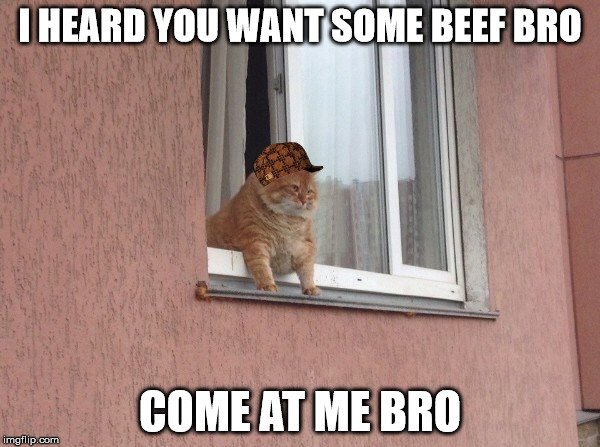 Beef Memes (30 pics)