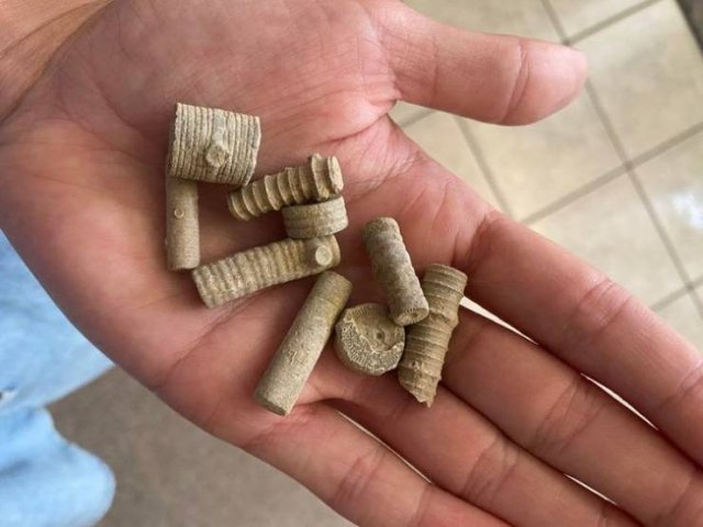 What Are These Things For? (23 pics)
