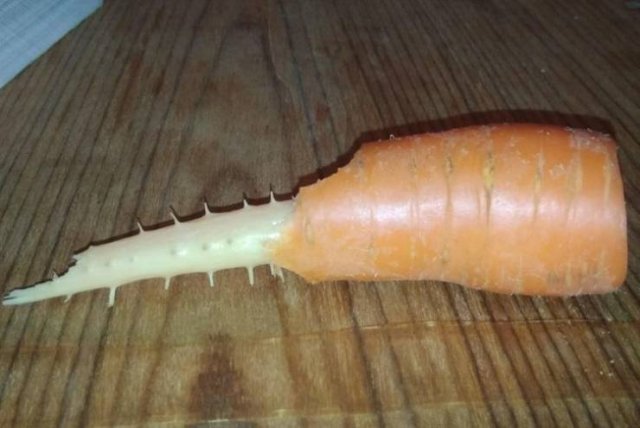 What Are These Things For? (23 pics)