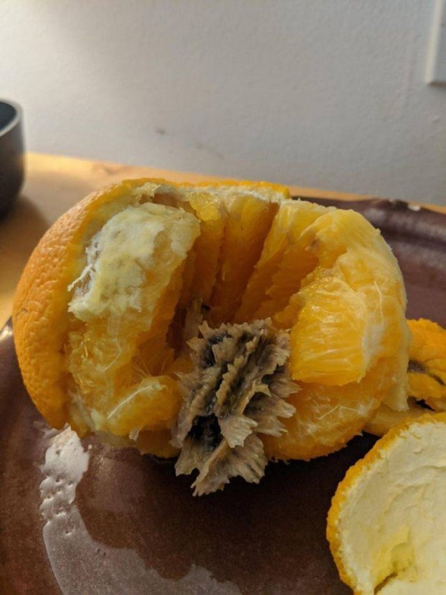 What Are These Things For? (23 pics)