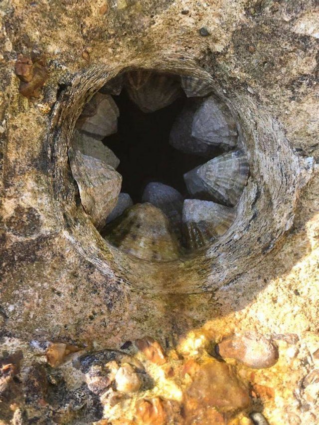What Are These Things For? (23 pics)
