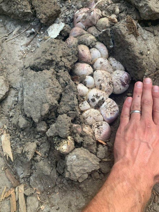 What Are These Things For? (23 pics)
