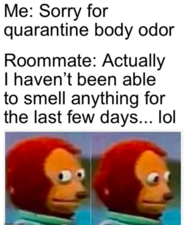 Quarantine Memes (28 pics)