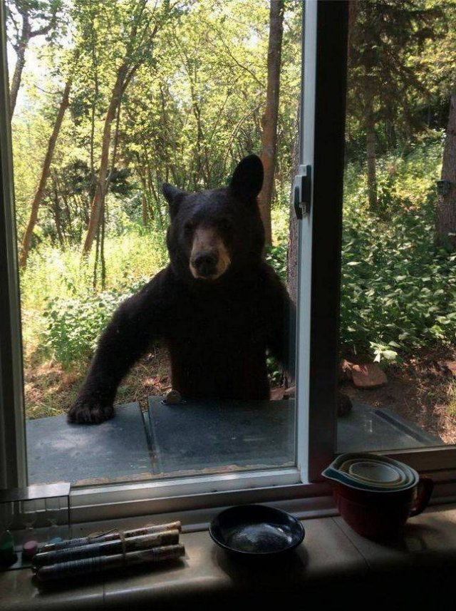 Acid Picdump. Part 2 (93 pics)