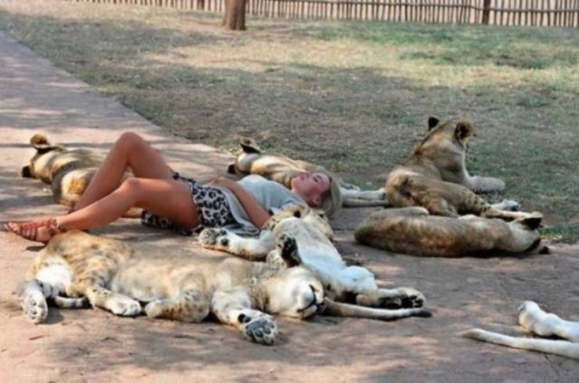 Acid Picdump. Part 2 (93 pics)