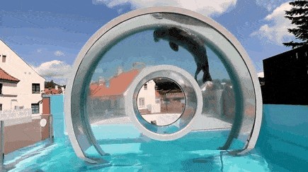 Acid Gifdump, September 3 (25 gifs)