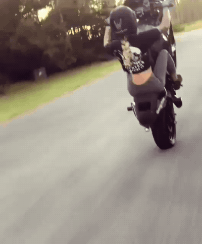 Acid Gifdump, September 4 (25 gifs)