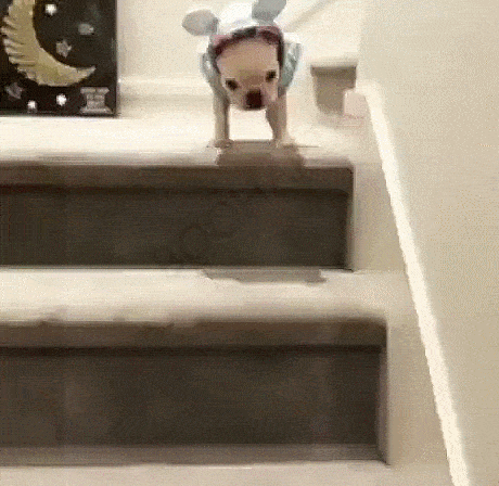 Acid Gifdump, September 4 (25 gifs)