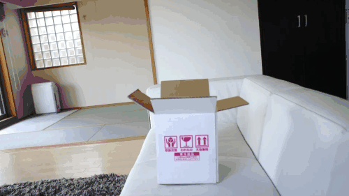 Acid Gifdump, September 4 (25 gifs)