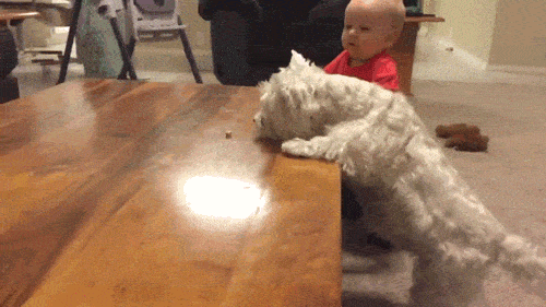 Acid Gifdump, September 4 (25 gifs)