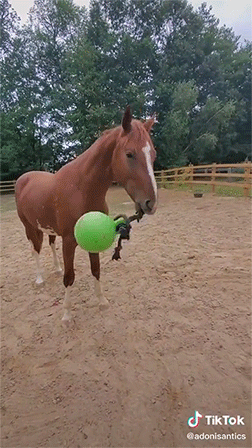 Acid Gifdump, September 4 (25 gifs)