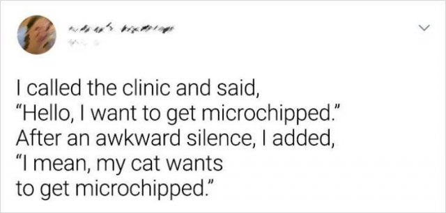Weird Things (15 pics)