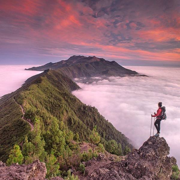 No Words Needed For These Pictures (49 pics)
