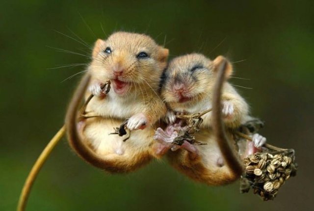 No Words Needed For These Pictures (49 pics)